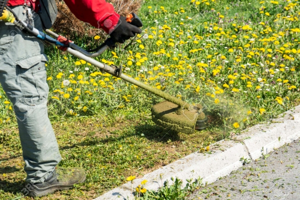 Mantener el pasto corto contribuye a una ciudad más limpia y saludable