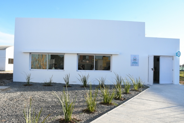 Diplomaturas de la UTN y UBA: horarios habilitados para la entrega de documentación
