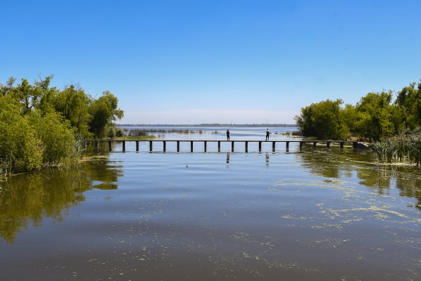 La gestión de las compuertas y su impacto en el sistema de lagunas