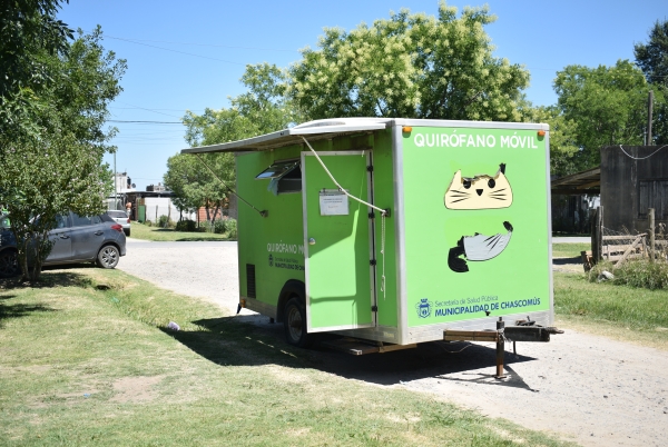 Quirófano móvil: Más de 50 mascotas en la primera fecha del calendario anual