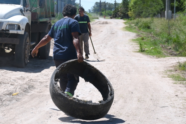Prevenir es cuidarnos: Hantavirus, dengue y el rol de una ciudad limpia